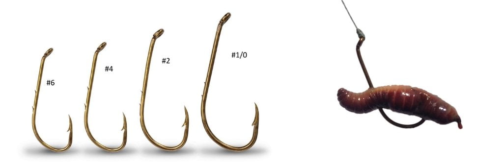 What Size Hook For Largemouth Bass